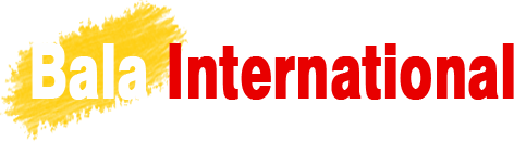 sasti website company